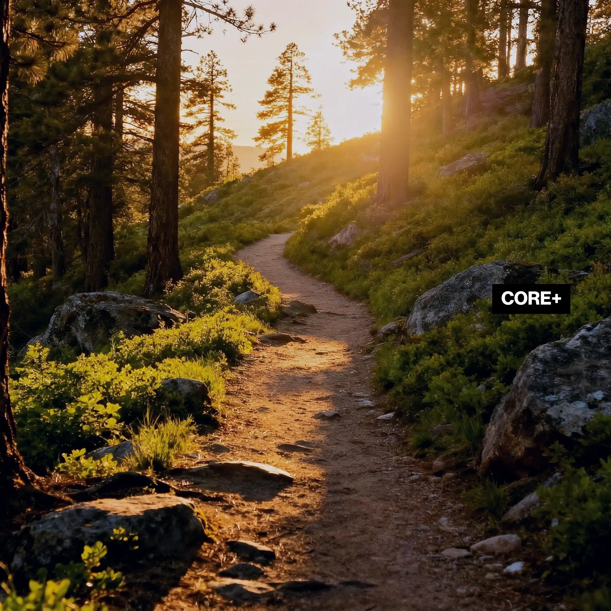 LosReyes sunglasses offer polarized clarity, UV400 protection, and lightweight comfort for hiking; LosReyes sunglasses are made for durable outdoor use without high cost.