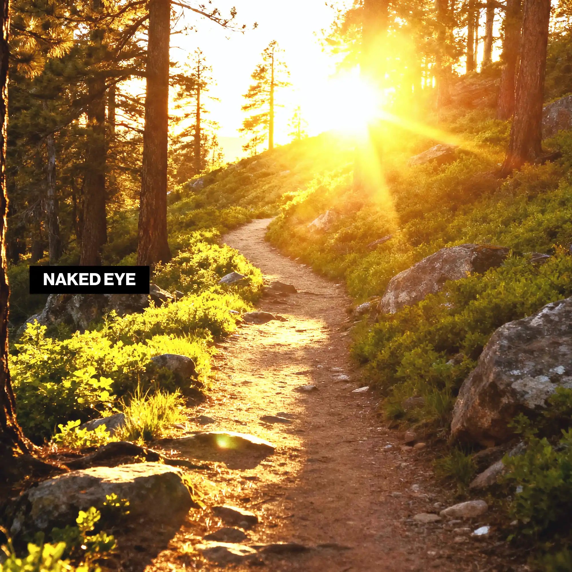 Without LosReyes sunglasses, bright trail glare can cause eye fatigue on long hikes; LosReyes sunglasses are designed to support clear outdoor vision.